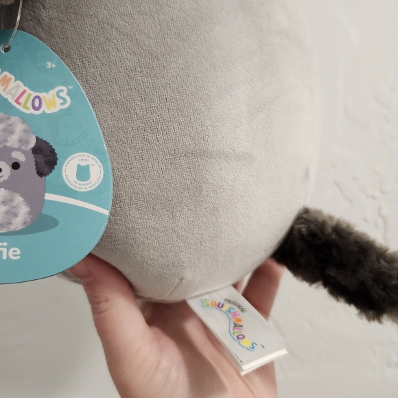 NWT Alfie The Poodle 8" Squishmallow First To Market Edition Rare - Picture 5 of 8